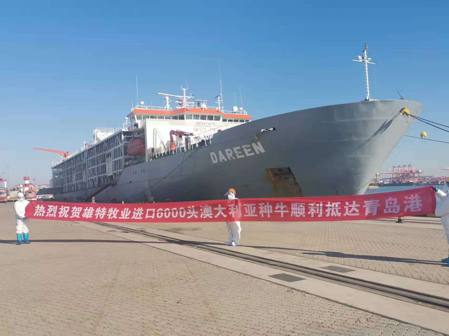 少妇BBB搡BBBB搡BBBB