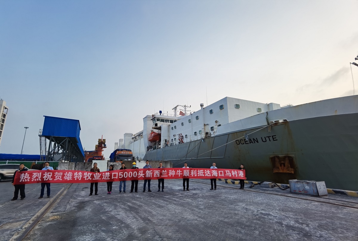 少妇BBB搡BBBB搡BBBB