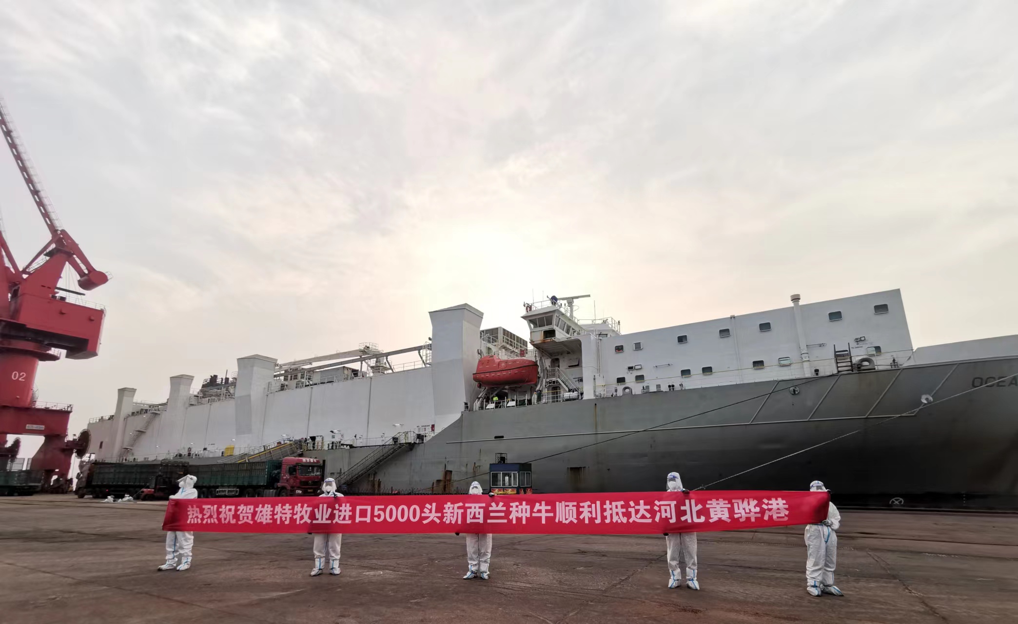 少妇BBB搡BBBB搡BBBB