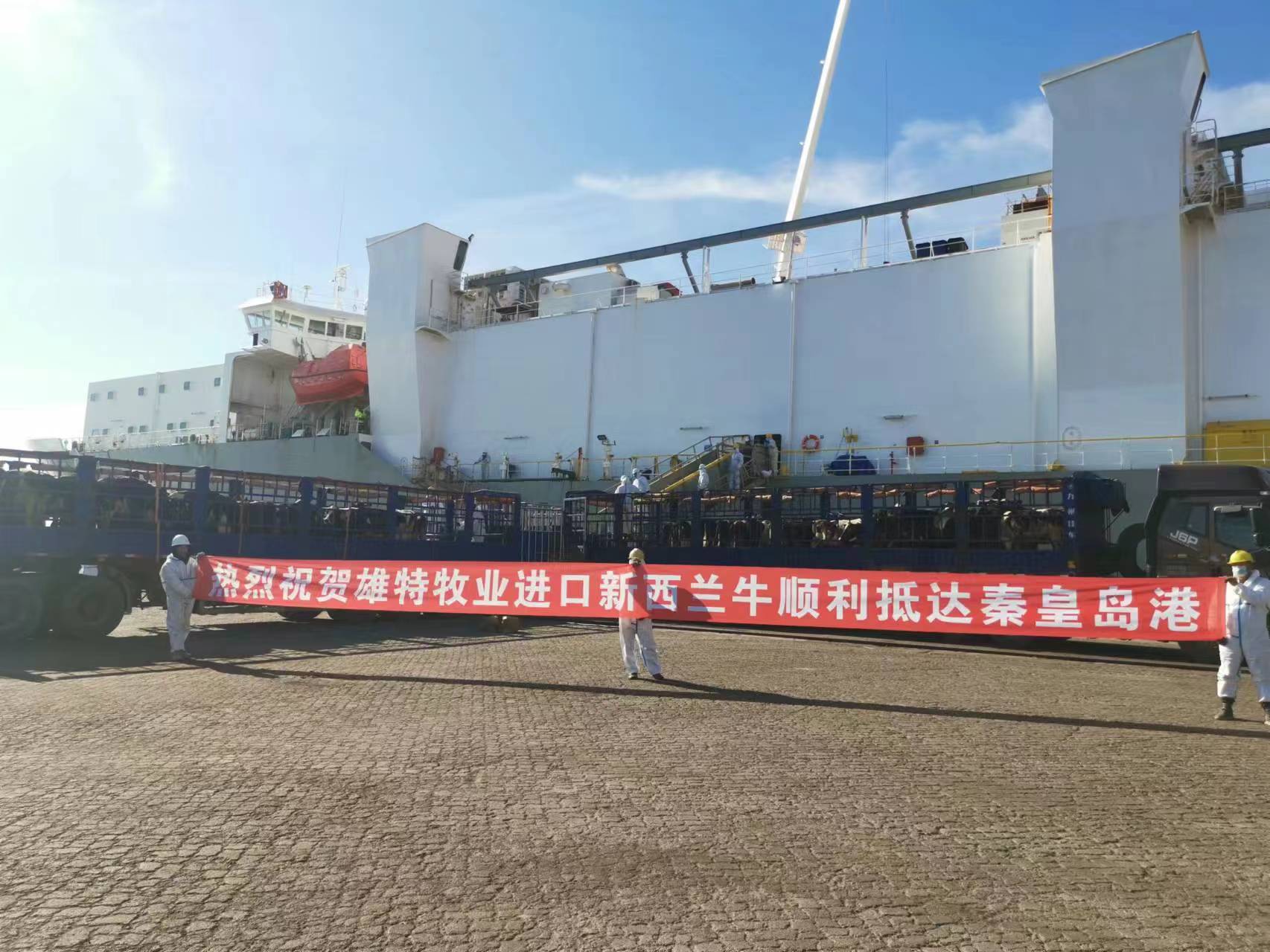 少妇BBB搡BBBB搡BBBB