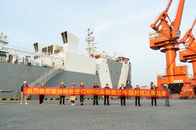 64586c0e37309.jpg 横幅.jpg