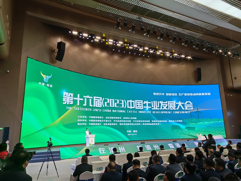 少妇BBB搡BBBB搡BBBB