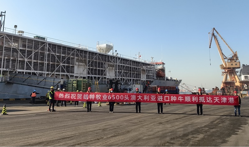 少妇BBB搡BBBB搡BBBB