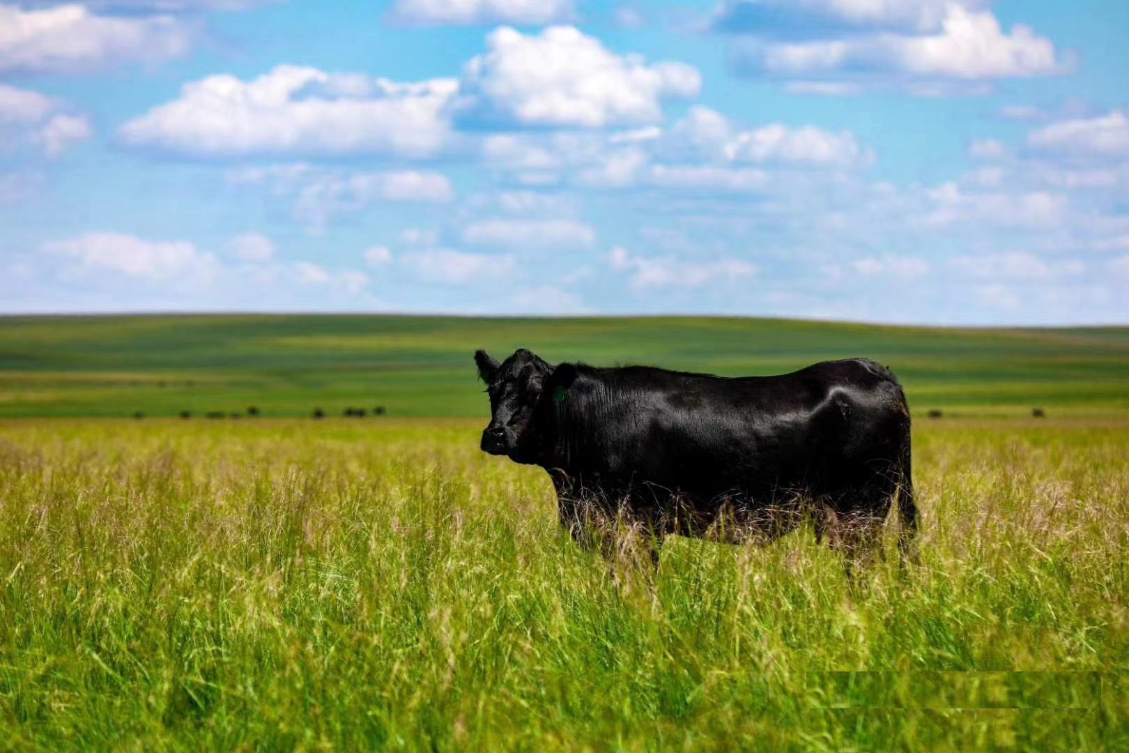 少妇BBB搡BBBB搡BBBB