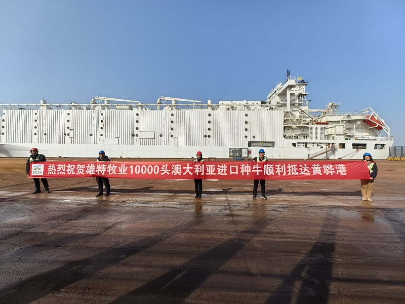 少妇BBB搡BBBB搡BBBB