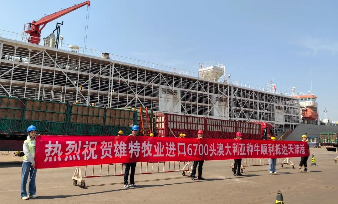 少妇BBB搡BBBB搡BBBB