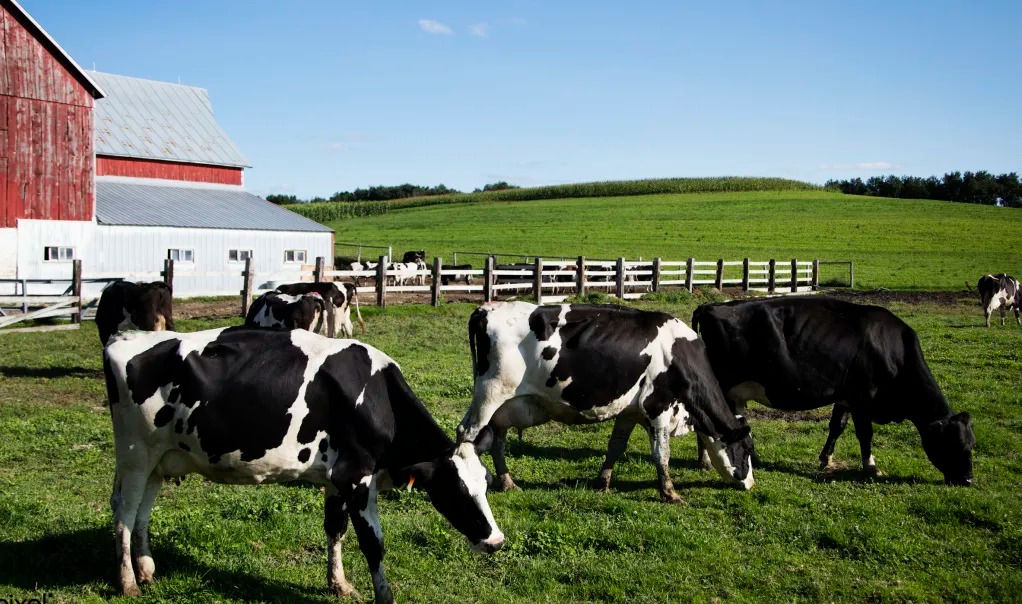 少妇BBB搡BBBB搡BBBB