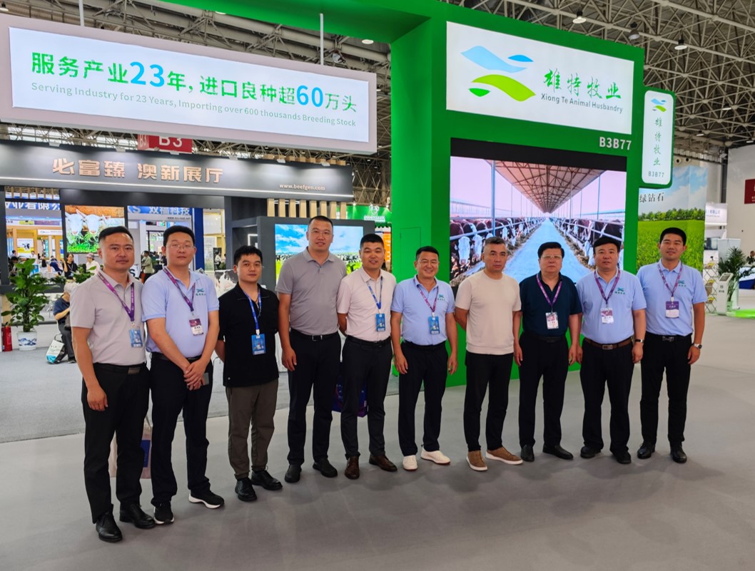 少妇BBB搡BBBB搡BBBB