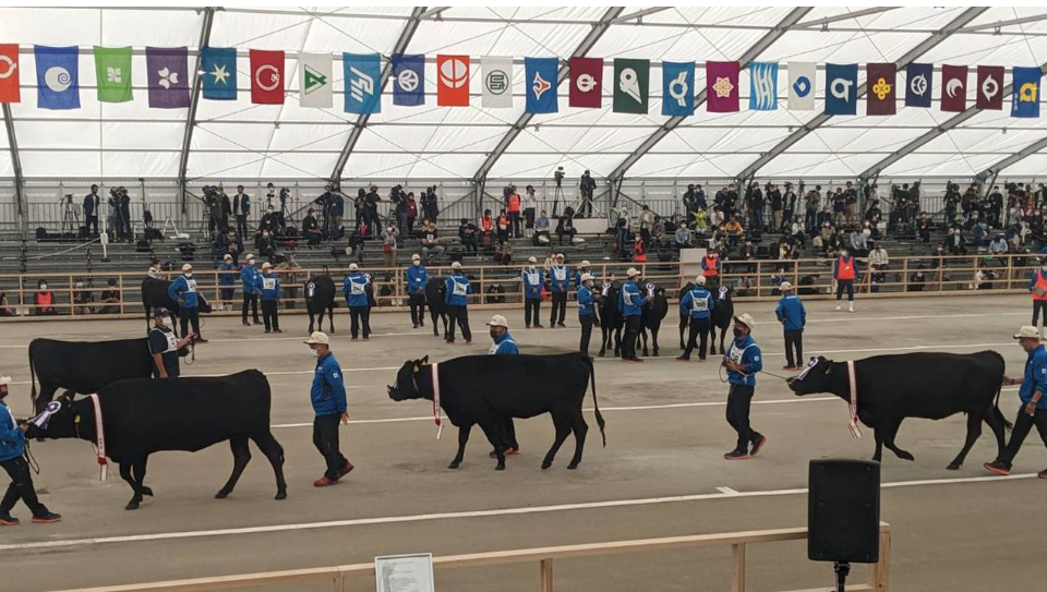 少妇BBB搡BBBB搡BBBB