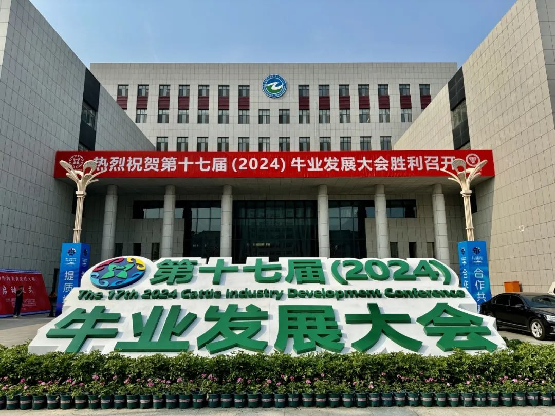 少妇BBB搡BBBB搡BBBB