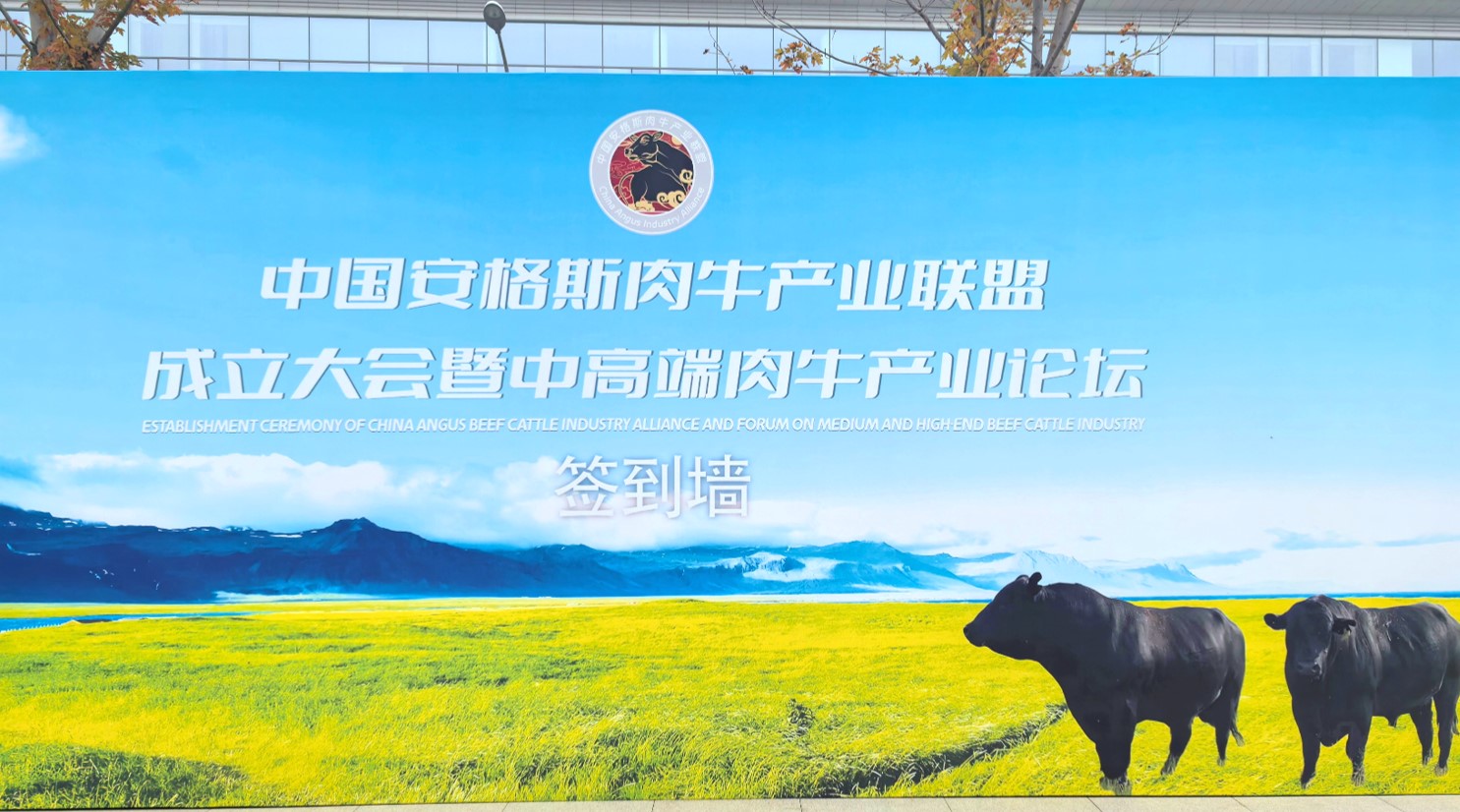 少妇BBB搡BBBB搡BBBB