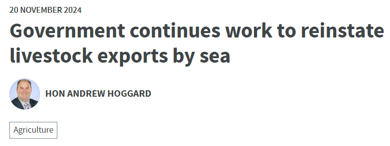 少妇BBB搡BBBB搡BBBB