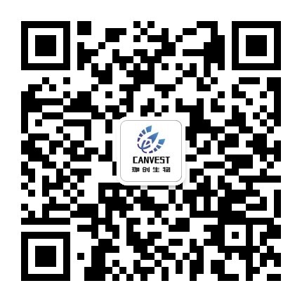 少妇BBB搡BBBB搡BBBB