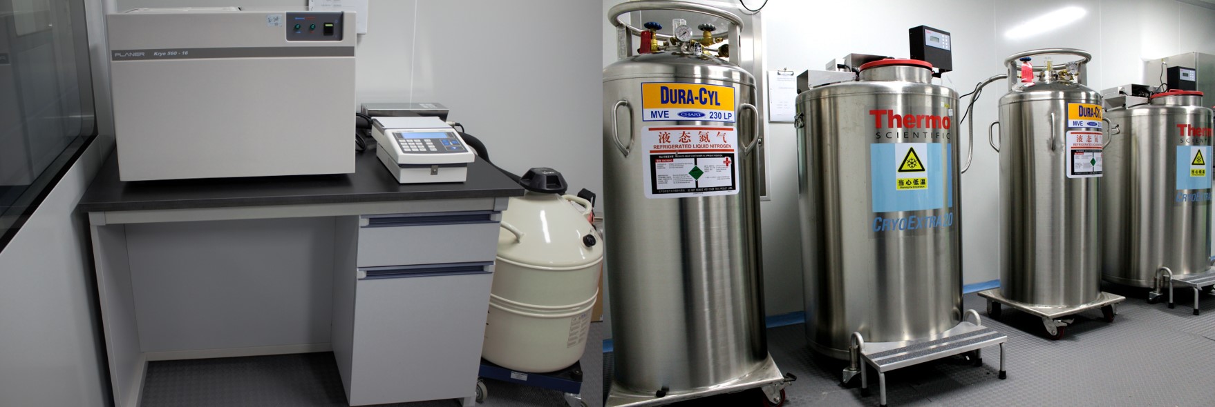 少妇BBB搡BBBB搡BBBB