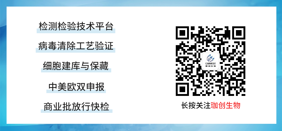 少妇BBB搡BBBB搡BBBB