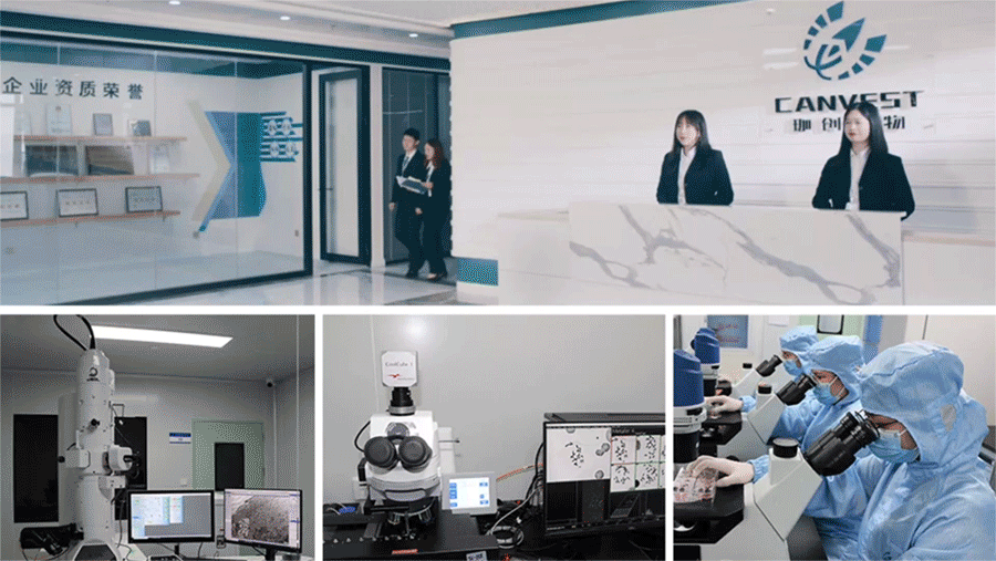 少妇BBB搡BBBB搡BBBB