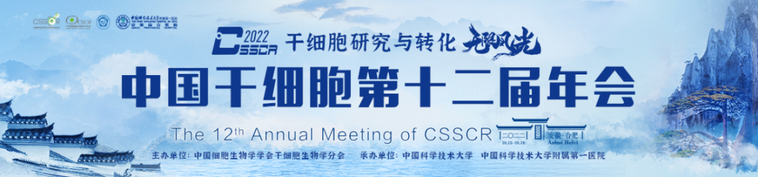 少妇BBB搡BBBB搡BBBB