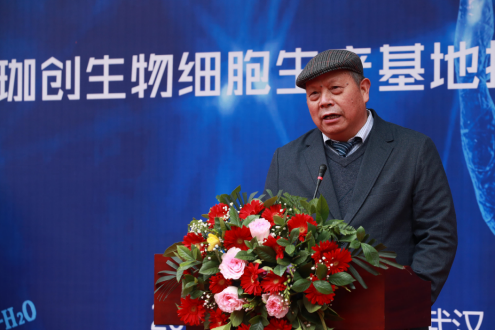 少妇BBB搡BBBB搡BBBB