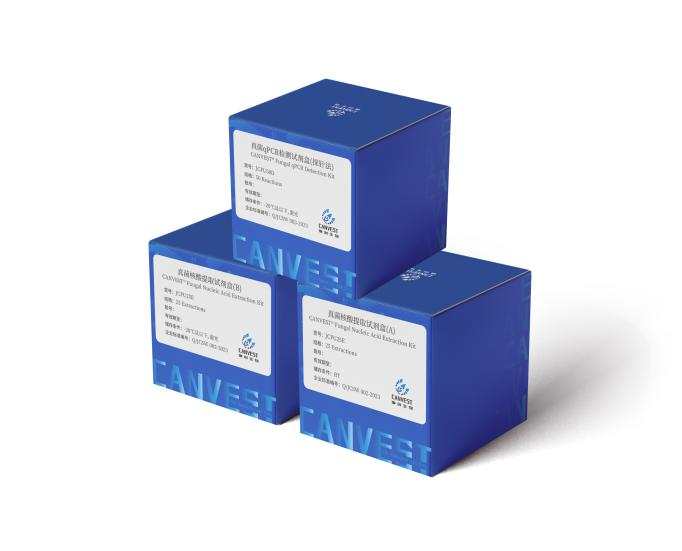 少妇BBB搡BBBB搡BBBB