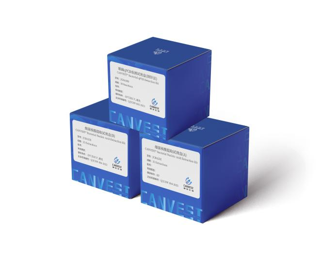 少妇BBB搡BBBB搡BBBB