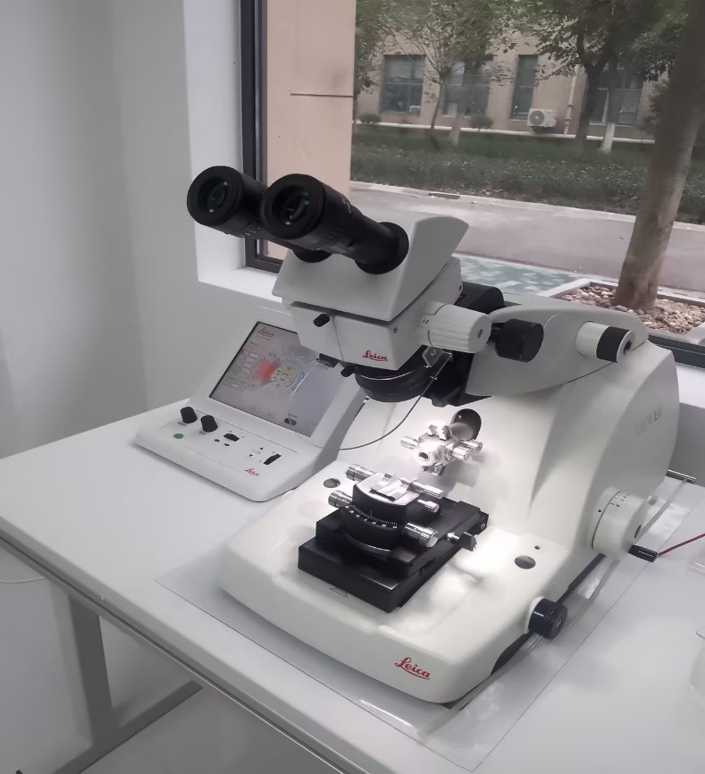 少妇BBB搡BBBB搡BBBB