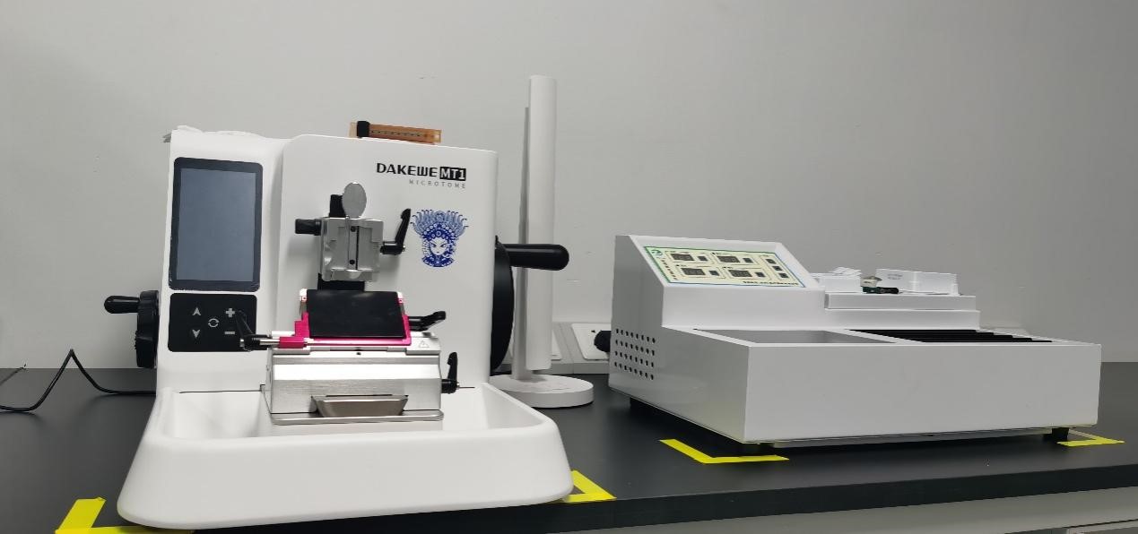 少妇BBB搡BBBB搡BBBB