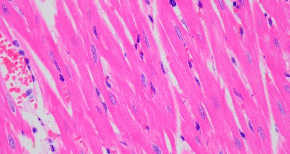 少妇BBB搡BBBB搡BBBB