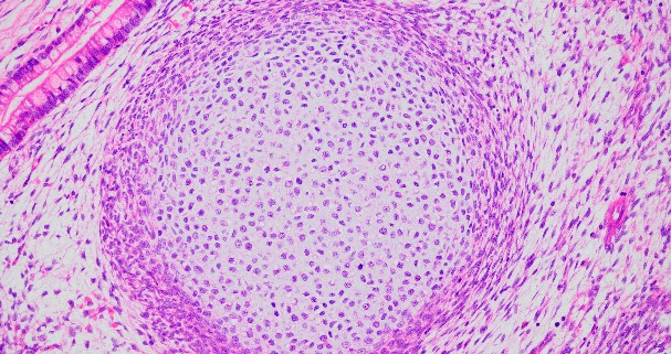 少妇BBB搡BBBB搡BBBB